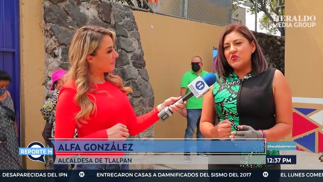 ¡Adiós al miedo a la pirotecnia! Taller para perros contra fobias sonoras