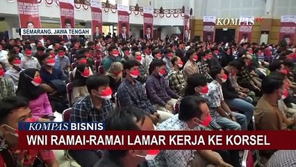Ingin Dapatkan Penghasilan yang Layak, Ribuan WNI Berbondong-bondong Daftar Kerja ke Korea Selatan!