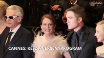 Ezúttal nincs magyar film a Cannes-i versenyprogramban