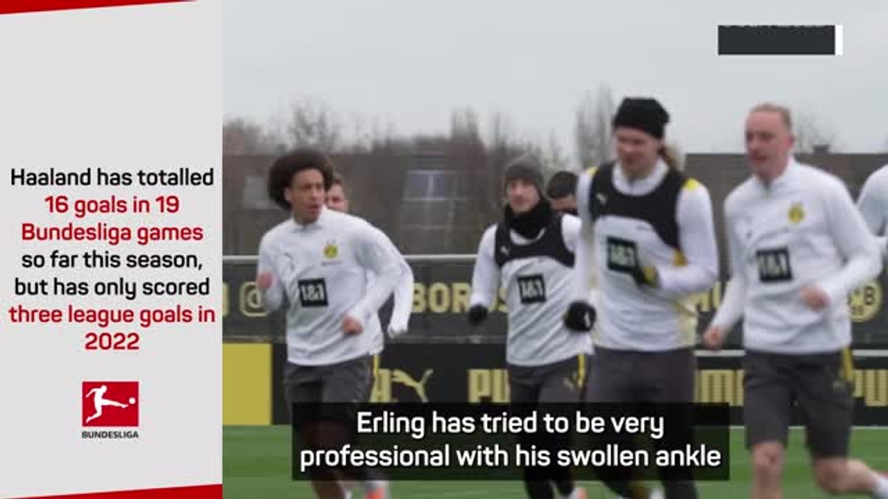 Rose insists Haaland more important now than ever