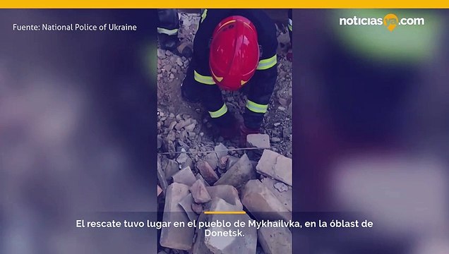 Un cachorro fue rescatado con vida de los escombros de un asentamiento bombardeado por rescatistas en el este de Ucrania.