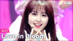 [Simply K-Pop CON-TOUR] ILY:1 (아일리원) - Love In Bloom (사랑아, 피어라) _ Ep.515