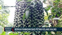 Harga Kolang-Kaling Naik Saat Ramadan Jadi Berkah Para Petani Kolang-Kaling di Madiun, Jawa Timur