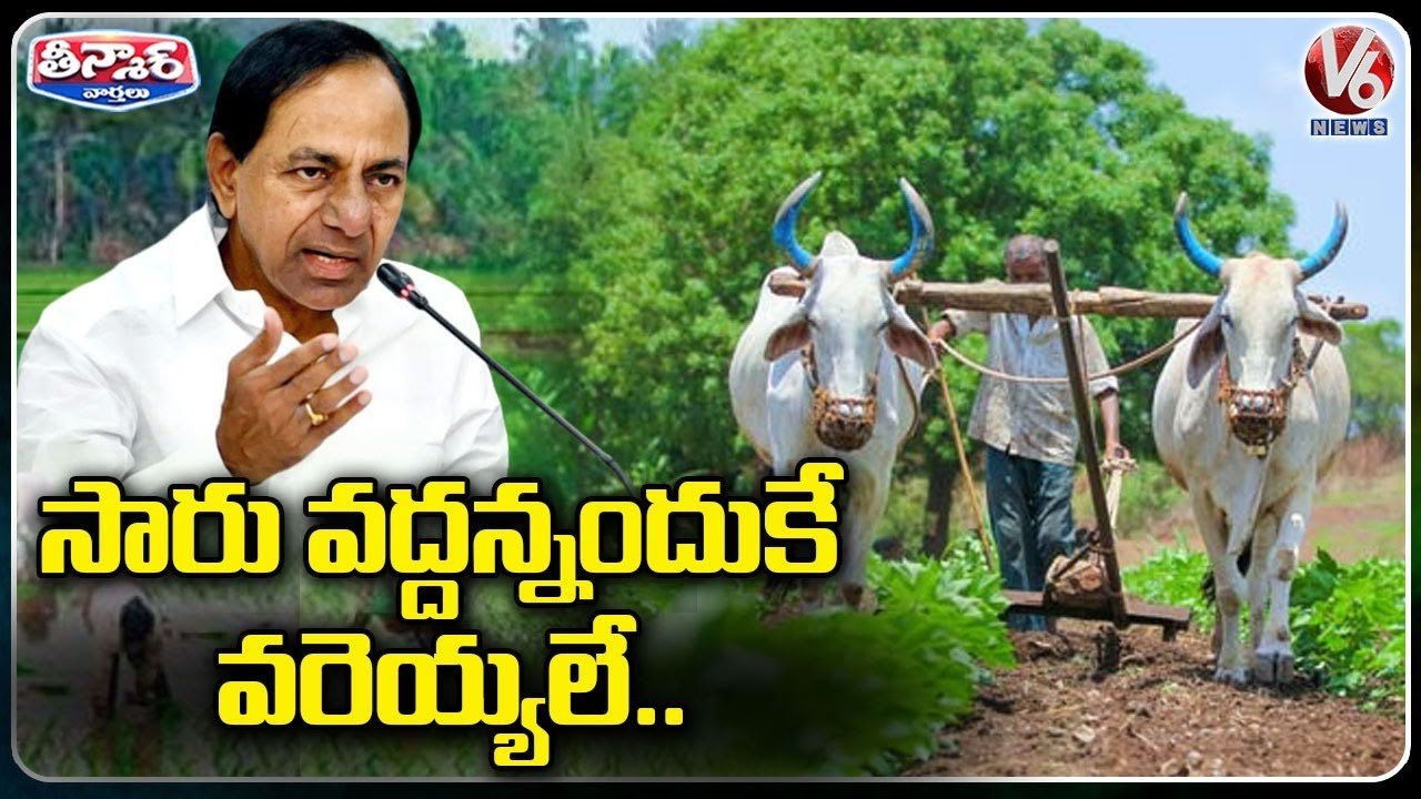 Paddy Procurement Centre Starts In Telangana, Farmers Fire On CM KCR Paddy Cultivation | V6Teenmaar