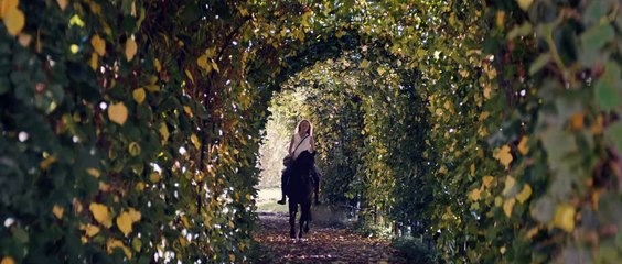 Immenhof Das große Versprechen Film