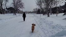 Multi-day snowstorm turns the northern Plains into a mid-April winter wonderland