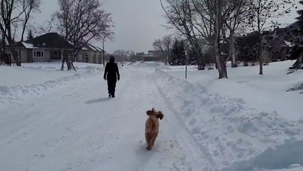 Multi-day snowstorm turns the northern Plains into a mid-April winter wonderland
