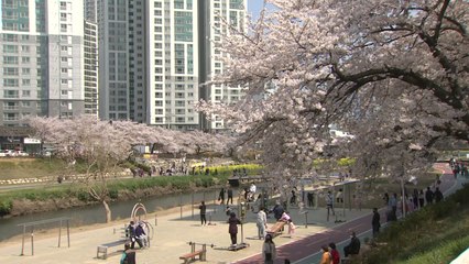 [날씨] 주말 맑고 따뜻, 서울 낮 19℃...큰 일교차 유의 / YTN