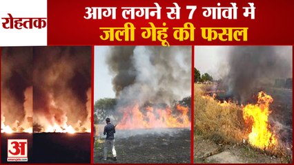 Tải video: Hundreds Acres Of Wheat Crop Destroyed By Fire In Villages At Rohtak|7 गांवों में जली गेहूं की फसल