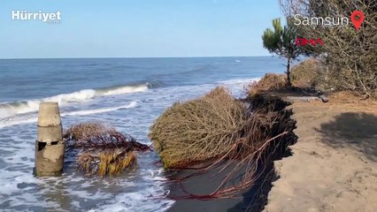Dalgalar kıyıyı yuttu, Karadeniz evlere yaklaştı