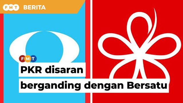 PKR disaran berganding dengan Bersatu supaya pembangkang menang pada PRU15