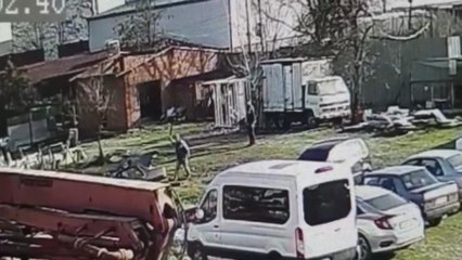 Tavukları kovalayan köpeği sopa ile dövdüler!