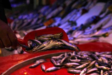 Sezonun son balıkları tezgahlarda