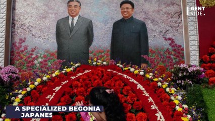 Kim Jong-un: Gardner sentenced to prison for 6 months due to this absurd reason