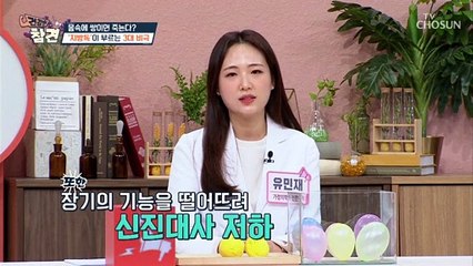늘어나는 뱃살 중년 비만의 원인은 몸에 쌓인 독?! TV CHOSUN 20220415 방송