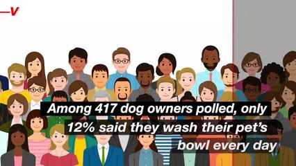 A New Study Reveals You’re Probably Not Feeding Your Dog Safely