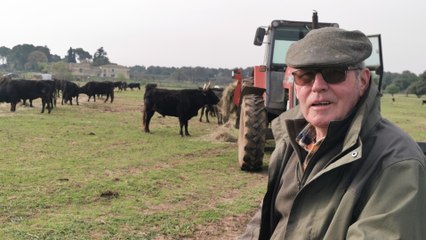 Daniel Guiraud alias La chaleur, gardian de la manade Aubanel