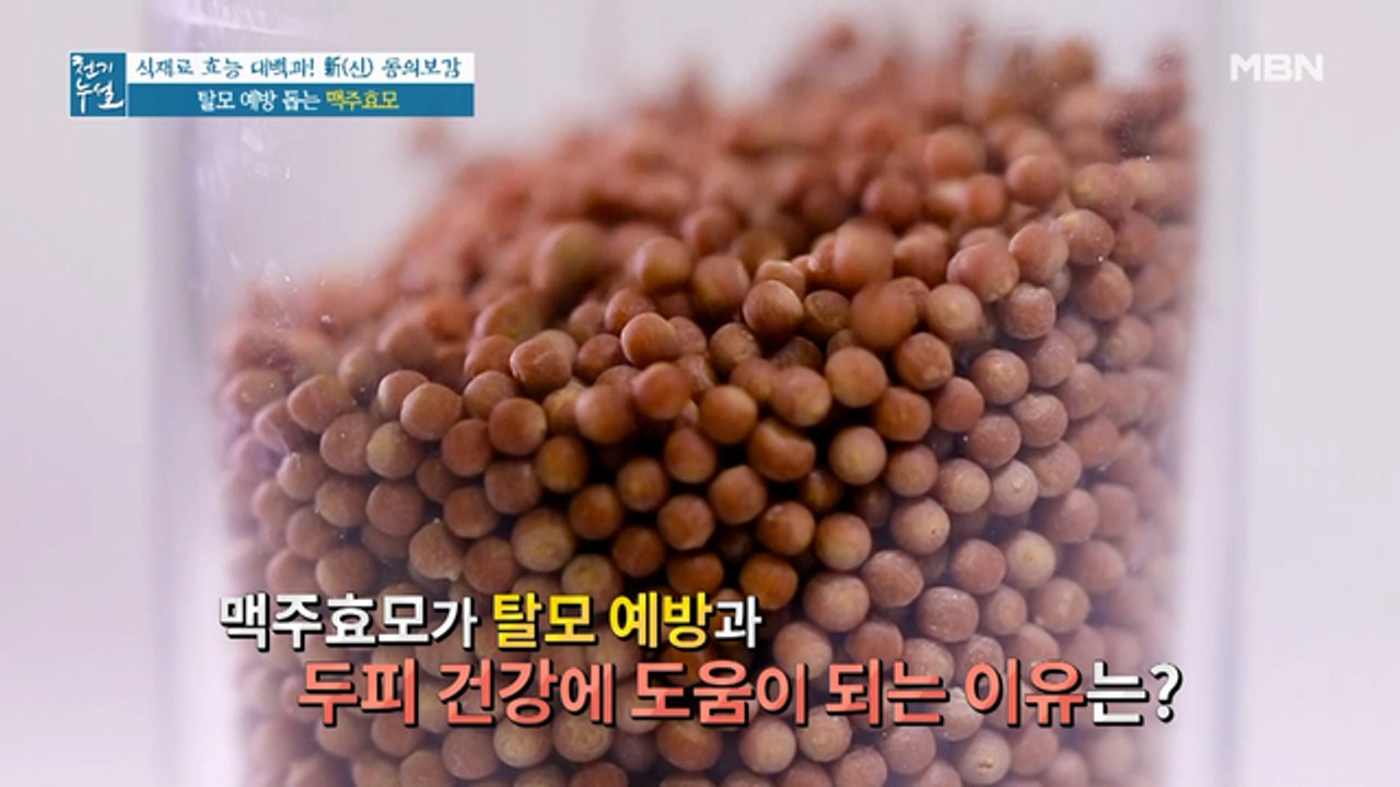 탈모 예방과 두피 건강 돕는 맥주효모 속 성분은?