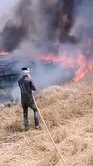 नोलाइयों में लगी आग, दमकल ने पाया काबू