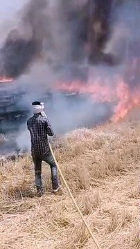 नोलाइयों में लगी आग, दमकल ने पाया काबू