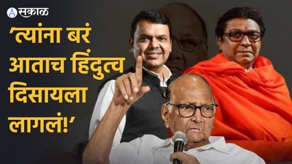 Sharad Pawar: बोलायला काही नाही म्हणून उगाच आरोप, शरद पवारांनी फडणवीस आणि राज ठाकरेंना सुनावलं