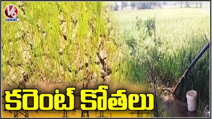 Farmers Facing Problems With Power Cuts , Crops Are Drying Up In Bhupalapally Dist | V6 News