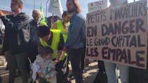 Manifestation du Réseau de soutien à l'agriculture paysanne contre l'achat de terres agricoles par Colruyt