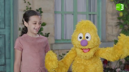 حيوانات أصدقاء سمسم المفضلة