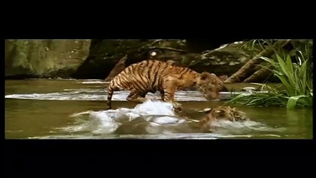 Deux frères Bande-annonce (2) VO