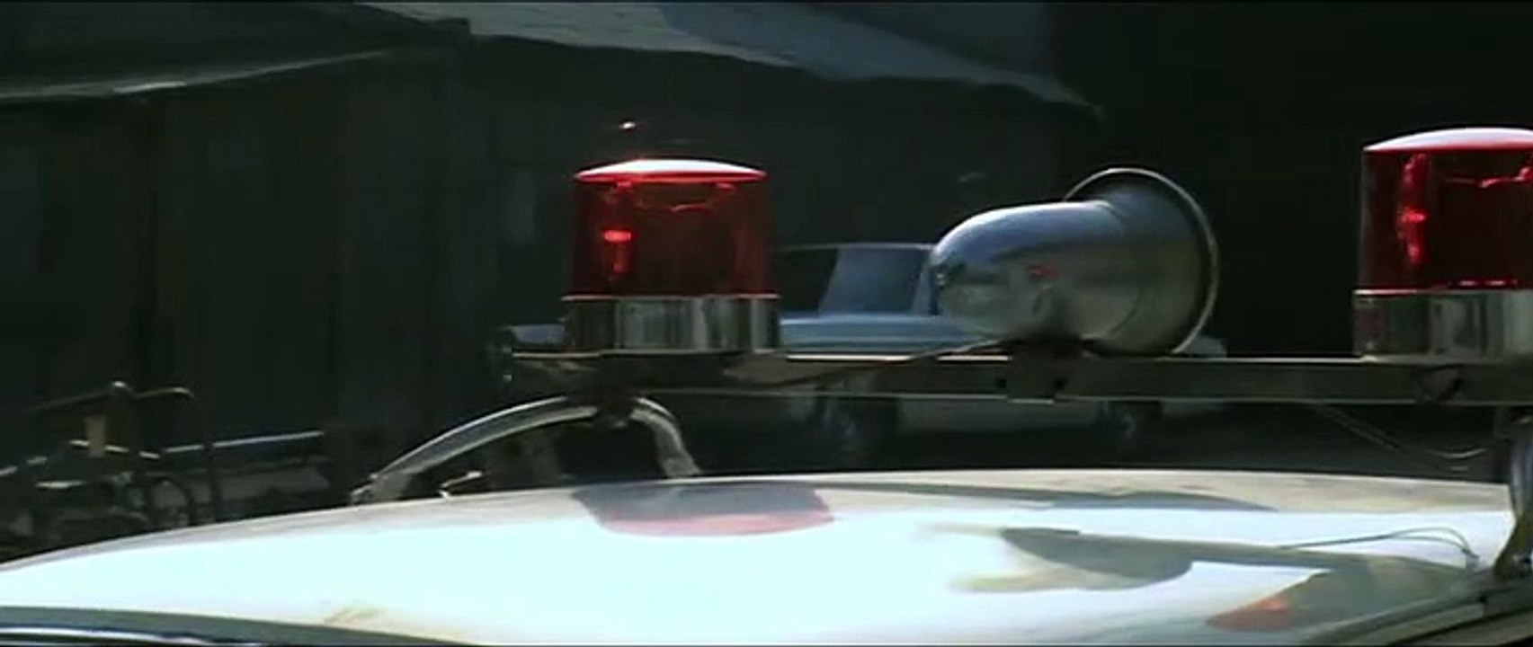The Zebra Force (1976)