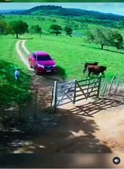 2 fermiers pas très habiles