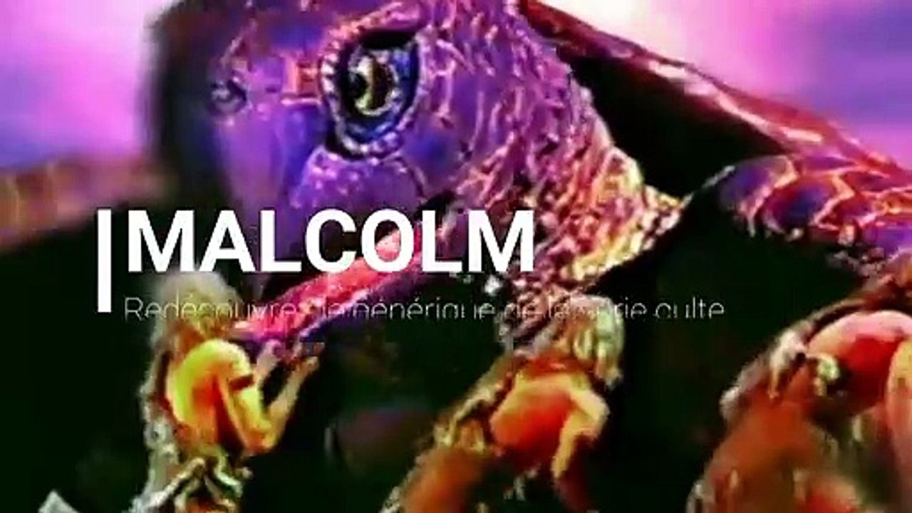 Malcolm : Redécouvrez le générique de la série culte !