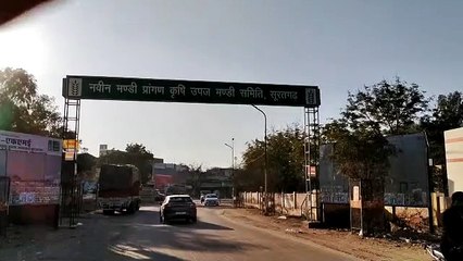 सूरतगढ़ में आज शुरू होगी गेहूं की सरकारी खरीद