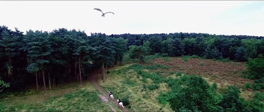 Knights of the Damned Bande-annonce VF