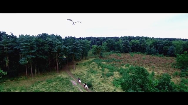 Knights of the Damned Bande-annonce VO