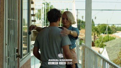 Animal Kingdom - saison 1 Bande-annonce VF - Vidéo Dailymotion