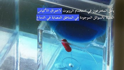 ركة أميركية ناشئة تحوّل الخيال العلمي حقيقة بروبوتات صغيرة تُحقن في الدماغ لمعالجته