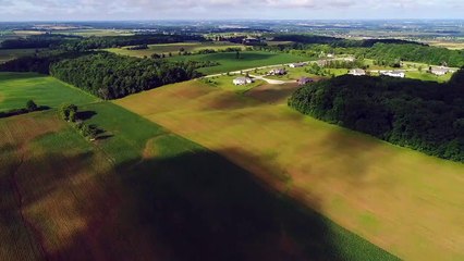 Sneaky Pete - saison 2 Bande-annonce VO