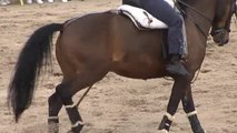 Vuelven las carreras de caballos a la playa de Ribadesella