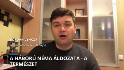 Ukrajna: a háború néma áldozata