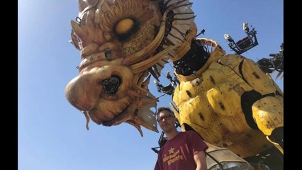 Toulouse : Yves, l’homme qui murmure à l’oreille du cheval-dragon Long Ma (et de ses machinistes)