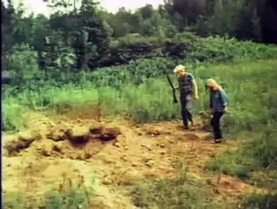 L'Invasion des araignées géantes Bande-annonce VO