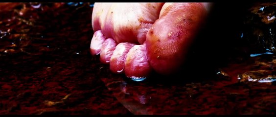 Shield of Straw Bande-annonce VO