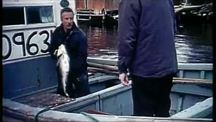 Terre Neuve Bande-annonce VF