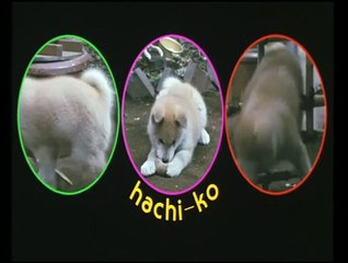 Hachiko monogatari Bande-annonce VO