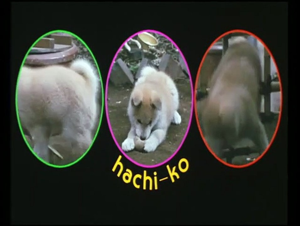 Hachiko monogatari Bande-annonce VO