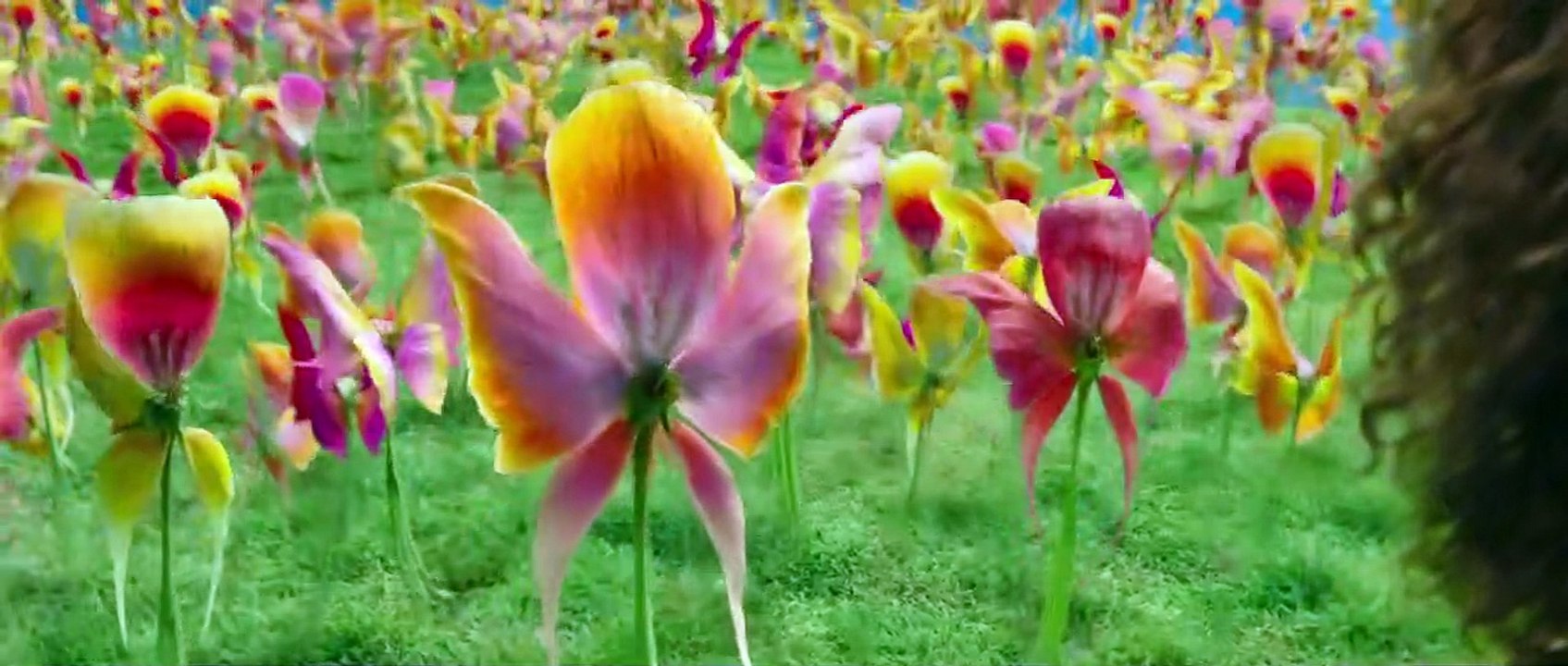 Un raccourci dans le temps EXTRAIT VF "Elles parlent en couleur"