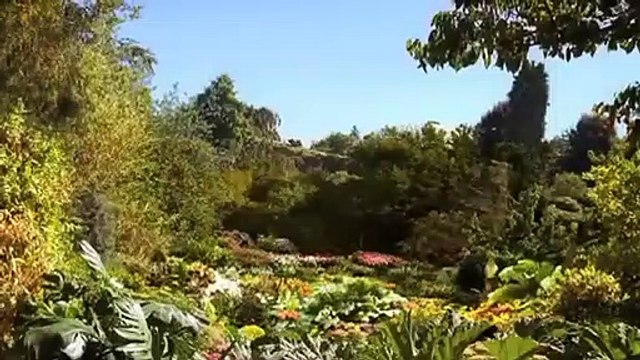 Les Racines de la destruction Bande-annonce VO