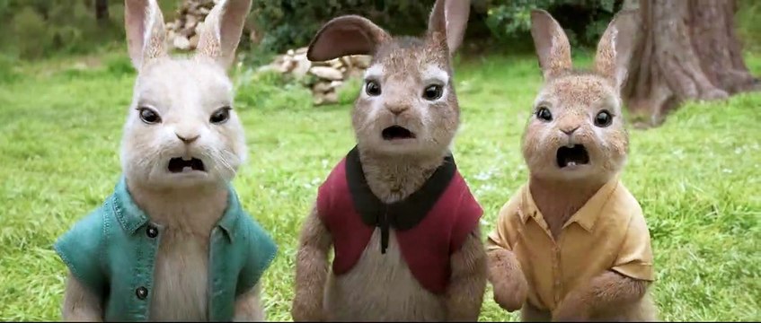 Pierre Lapin Spot VF - Qui est Pierre Lapin ?