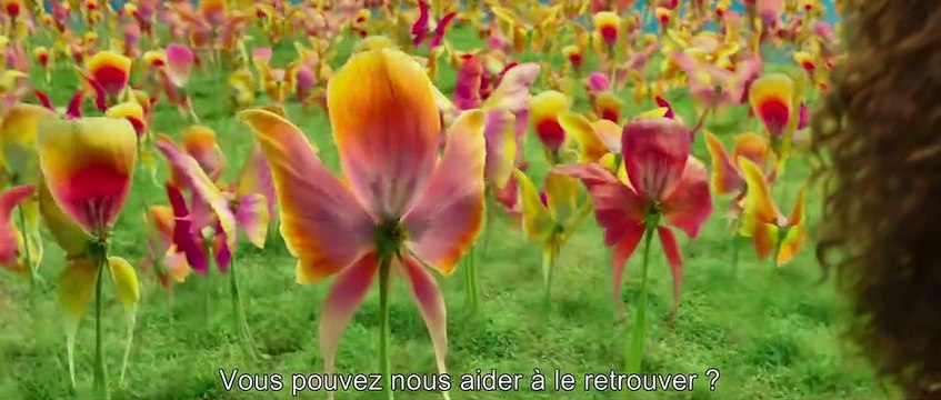 Un raccourci dans le temps EXTRAIT VO Elles parlent en couleur